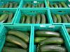 Picture of COURGETTES ORIG PT CAT I  KG