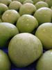 Picture of MAÇA GRANNY SMITH ORIG FR CAT I CAL. 90+ KG