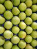 Picture of MAÇA GRANNY SMITH ORIG PT CAT II CAL 75/80 KG